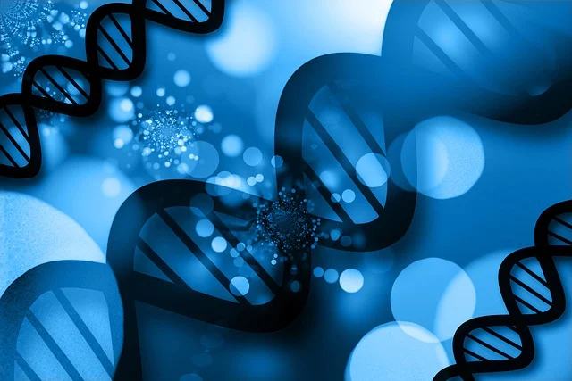 探索熱塑型聚氨酯粘接劑如何通過其熔融和再固化特性實現對復雜基材的可靠粘接